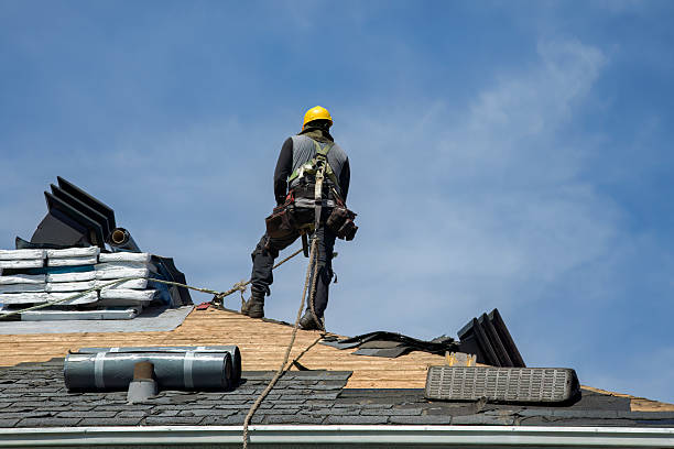 Professional Roofing technician working in Fisher, IL